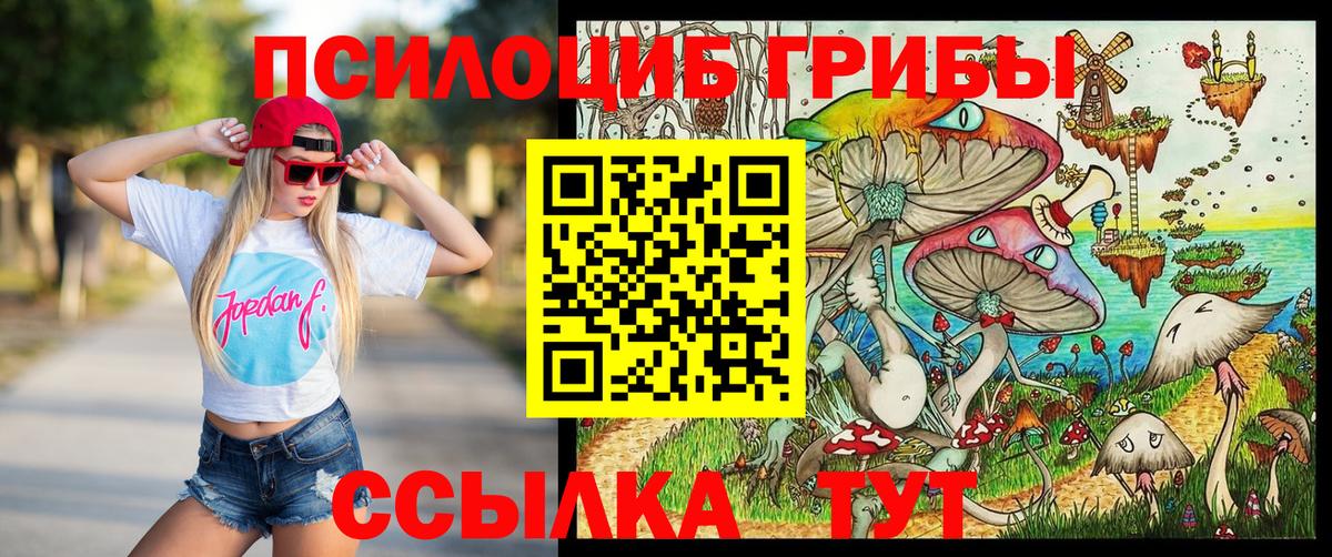 Галлюциногенные грибы Psilocybine cubensis  Вход с VPN  Миллерово 