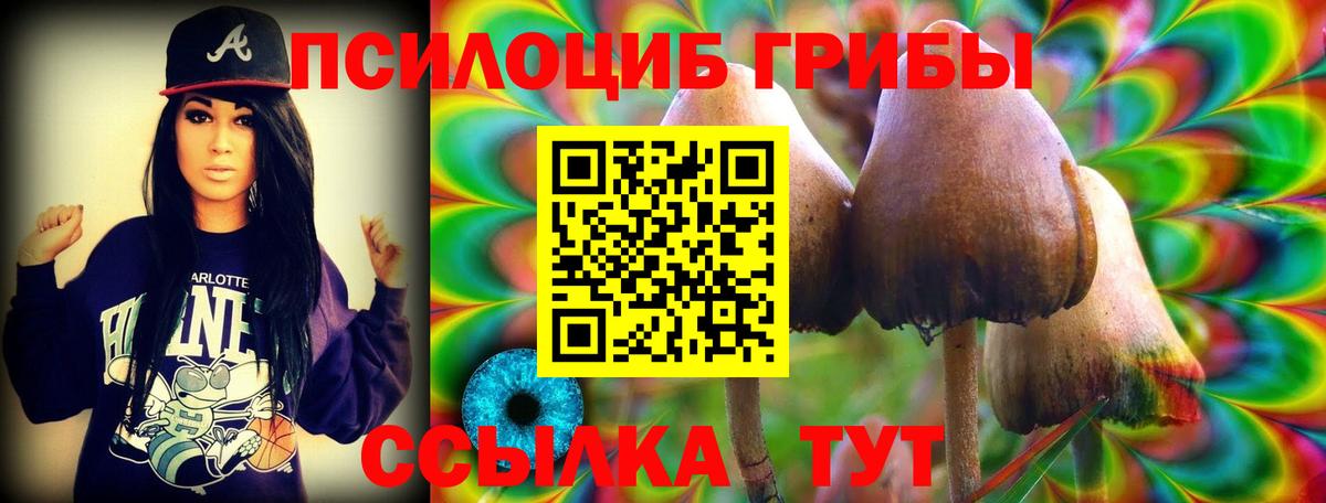 Псилоцибиновые грибы Psilocybine cubensis Миллерово